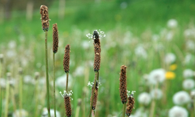Pour qu'il ne soit plus possible d'opposer 