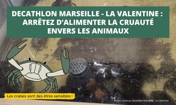 Decathlon Marseille - La Valentine : arrêter d’alimenter la cruauté envers les animaux