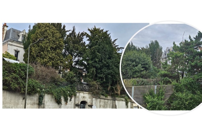 Sauvons nos poumons verts en ville : préservons les arbres et la terre à Suresnes ! Agissons maintenant !