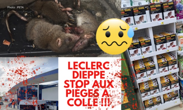 Stop à la vente de piège à colle chez Leclerc Dieppe !