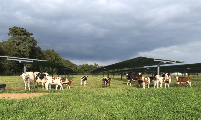 Soutien au projet agrivoltaïque de la Petite Brosse à Gy-les-Nonains (45).