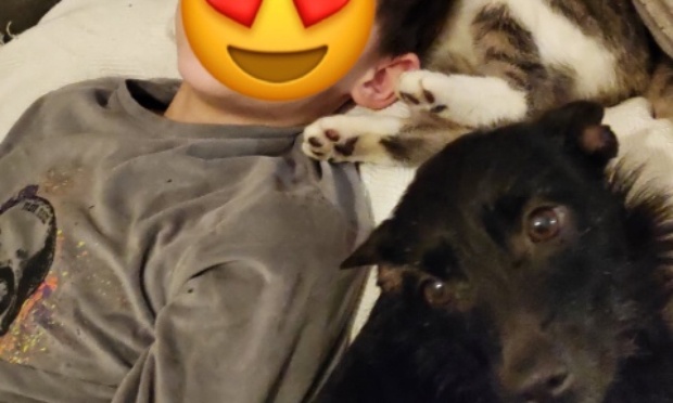 Pour que Cali retrouve sa famille aimante