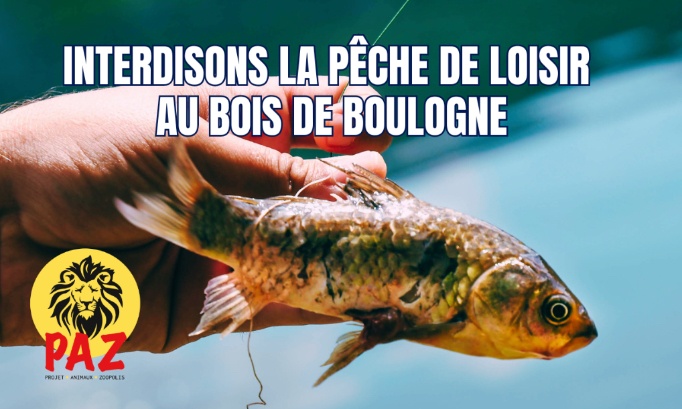 Interdisons la pêche de loisir au Bois de Boulogne