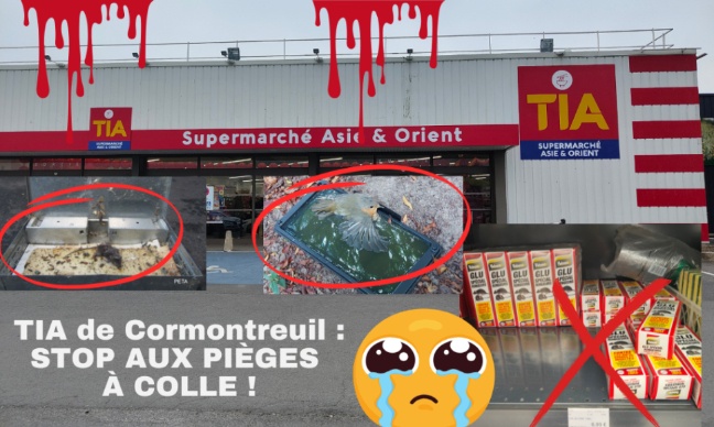 Tia Cormontreuil commercialise des pièges à colle, c’est très choquant !