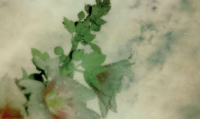 Contre la peine à perpétuité virtuelle