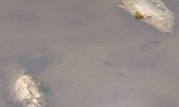 Relevé le niveau d'eau du deuxième etang