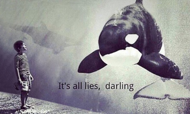 Madame la Ministre, ne trahissez pas les cétacés du Marineland