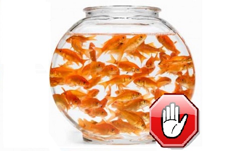 Suppression du bocal rond à poissons dans Plus belle la vie