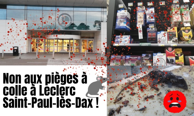 Non aux pièges à colle chez Leclerc Saint-Paul-lès-Dax !