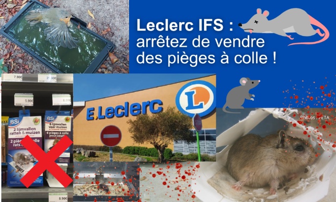 Leclerc Ifs : Non aux pièges à colle !