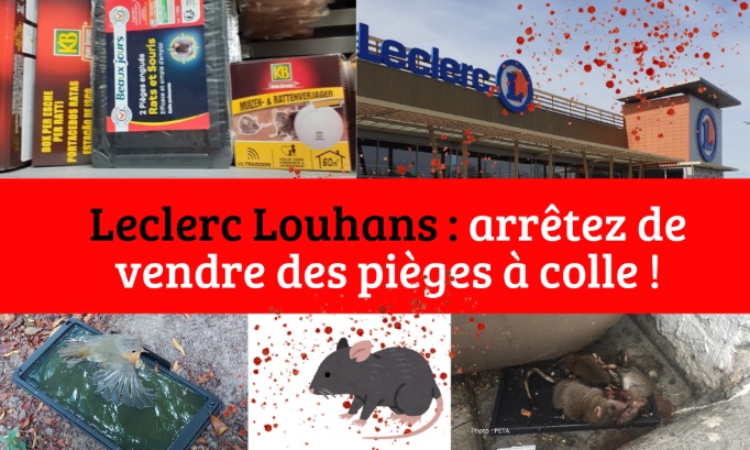 Leclerc Louhans, merci de ne plus vendre de piège à colle !