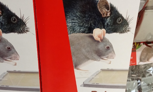 LECLERC Carpentras.....Stop aux pi&egrave;ges glue contre les souris et les rats...Mort lente et cruelle