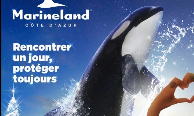 Pas de transferts &agrave; l &eacute;tranger Chine Espagne loro parques tenerife delphinaruims d&eacute;plorable madrid delphinaruim ferm&eacute; au publics dauphins otaries orques phoques requins pingouins manchots et autres c&eacute;tac&eacute;s et autres animaux du Marineland