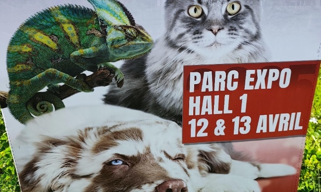 Pour que le Animal Events 2025 de Bordeaux soit annulé en urgence et interdit définitivement