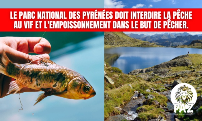 Parc national des Pyrénées : stop à la pêche au vif et à l'empoissonnement !