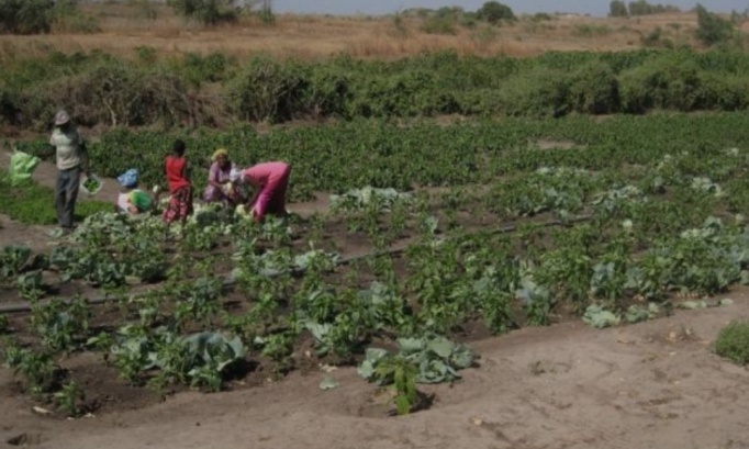 Opposition contre le centre intégré de valorisation des déchets à Bambilor