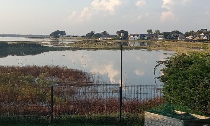 Non au projet d'élevage de Gambas sur la Rivière de Pénerf, protégeons notre environnement et sa zone humide !