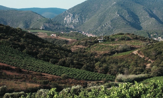 Empêchons le Parc Naturel Régional du Haut Languedoc de devenir un Parc industriel
