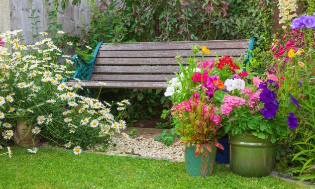 Pour la réouverture au public du jardin à côté de l'épicerie sur Montmorency 95
