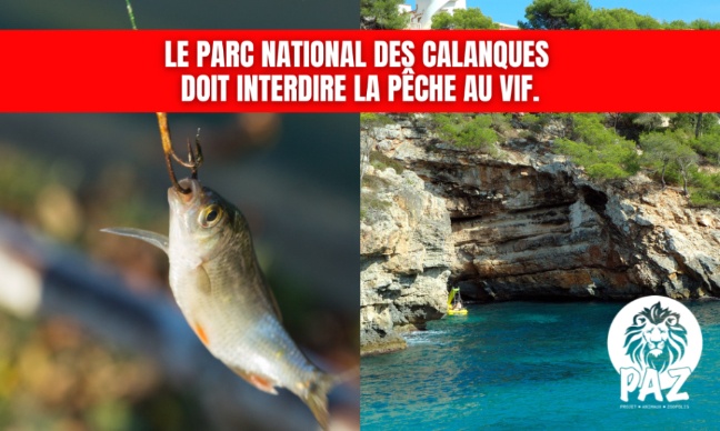 Parc National des Calanques : Stop à la pêche au vif !