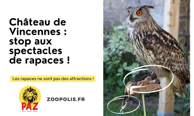 Château de Vincennes : Stop aux spectacles de rapaces !