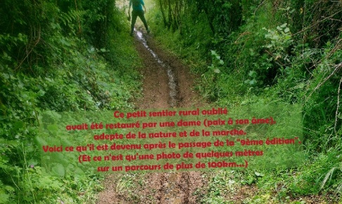 Protégeons nos forêts et sentiers publics !