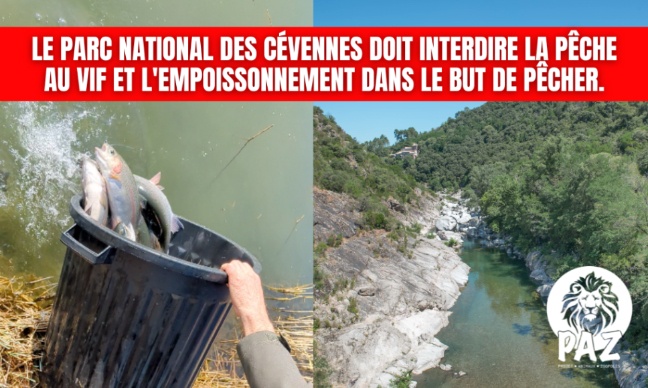 Parc National des Cévennes : Stop à la pêche au vif et à l'empoissonnement !