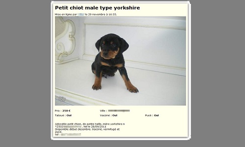 Signalement pour les annonces d'animaux avec la mention ''prix à débattre''