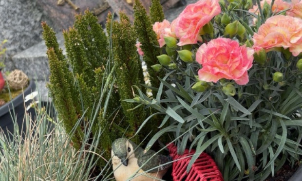 Pour l'installation de caméras aux entrées du cimetière de Hirson