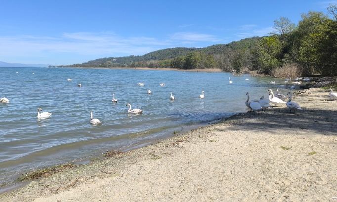 Garder la plage naturiste de la petite Am&eacute;rique (yvonand)