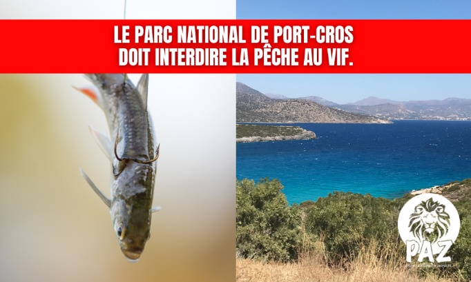 Parc National de Port-Cros : Stop à la pêche au vif !