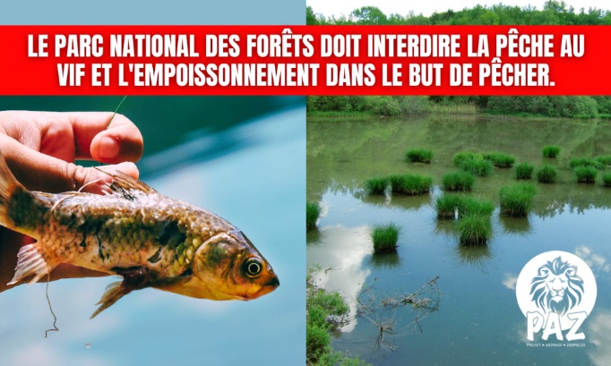 Parc National des forêts : stop à la pêche au vif !