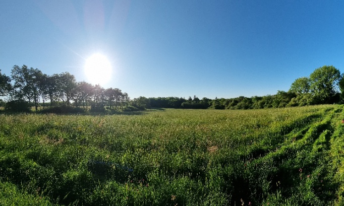 Village et nature en danger, plus de 400 voitures à St Laurent ? NON au projet démesuré, soutenez-nous !