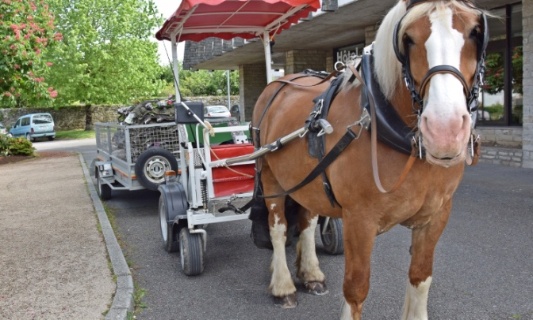 Pour que la mairie de Questembert garde ses chevaux