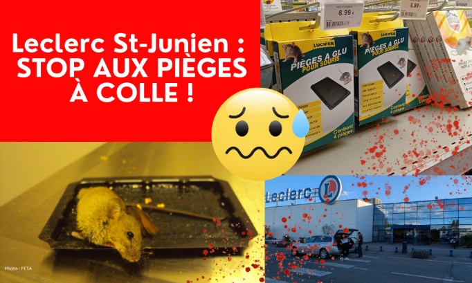 Leclerc de Saint-Junien, SVP ne vendez plus de pièges à colle