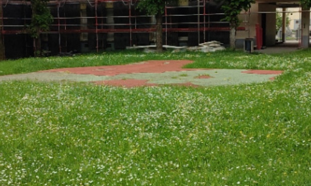 Un parc dans notre quartier