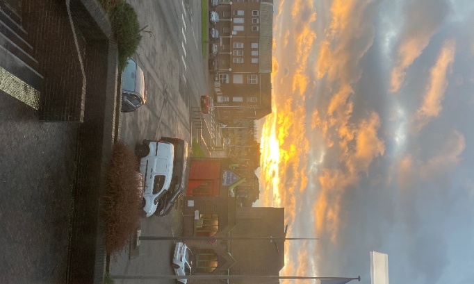 1 semaine de révision pour le bac français ou générale au Noordover