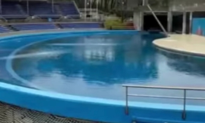 Petition importante et urgente pour mettre en proc&egrave;s et justice et en prison le directeur du parc marineland Pascal picot car il n &agrave; pas respecter la loi  de protection animale ni l interdiction du gouvernement voil&agrave; se que le directeur Pascal picot cre