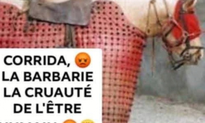 Pour l'interdiction de la tauromachie dans les arènes