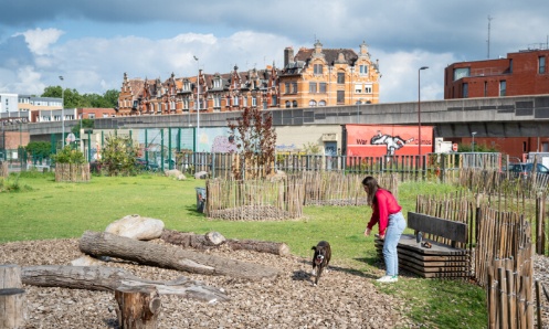 Pour la construction d'un Caniparc à Charmes-sur-Rhône
