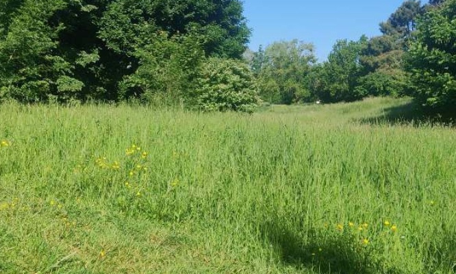 Pour un entretien correct du parc de Sainte Radegonde et des quais de Loire