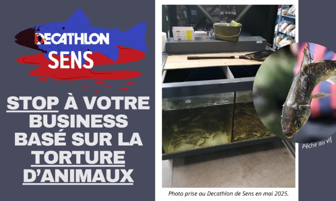 Decathlon Sens : stop à votre business basé sur la torture d’animaux