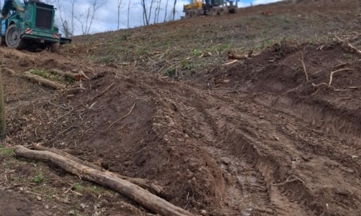 Halte au massacre de la forêt à Serrières (71)