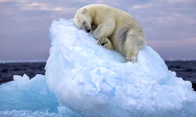 Luttons contre les pesticides