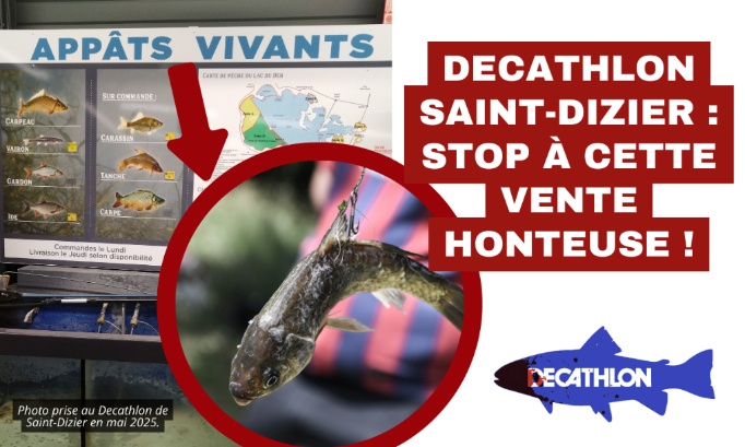Decathlon Saint-Dizier : stop à cette vente honteuse !