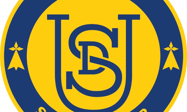 Soutien à la mise en place d'un terrain synthétique pour L'US Domagne et Saint-Didier