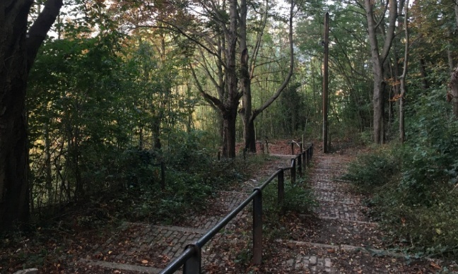 Pour la réhabilitation et la sécurisation du sentier des Marronniers à Liège