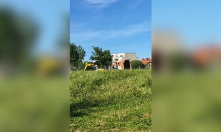 Pour l'entretien contre les épillet (jardin de la salade)