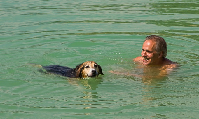 STOP aux arrêtés municipaux portant atteinte à nos libertés d'accès et de baignade au lac