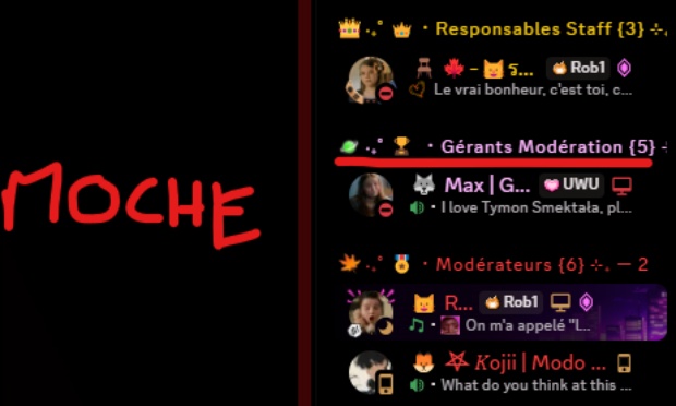 Changement de la couleur du rôle 